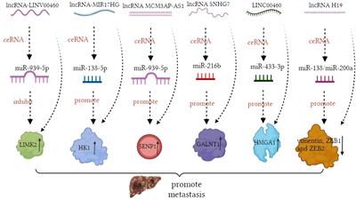 The Interaction Between Epigenetic Changes, EMT, and Exosomes in Predicting Metastasis of Colorectal Cancers (CRC)